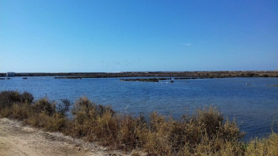 Faro Bike Tour through the Beautiful Ria Formosa - The 3-hour plan: saltpans, marsh channels, and Praia de Faro