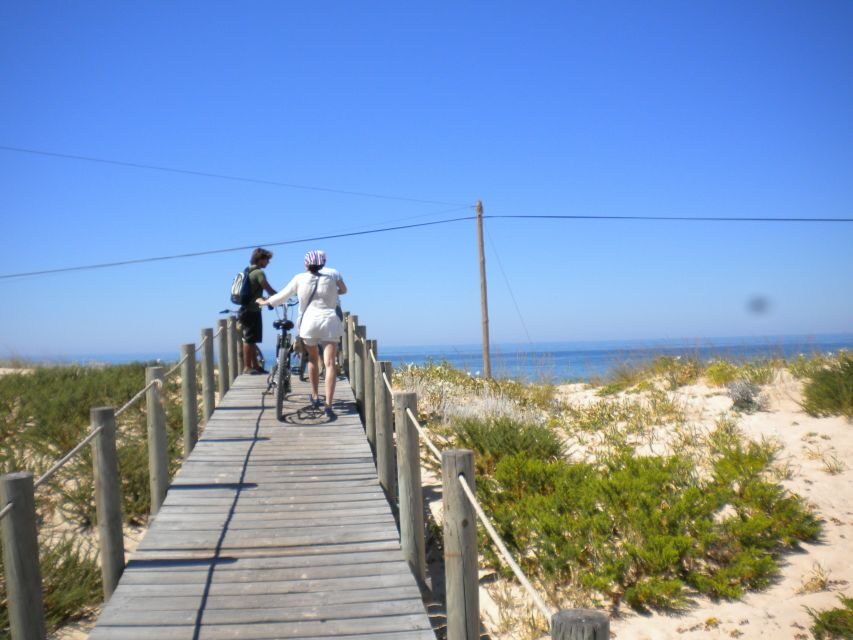 Faro Bike Tour through the Beautiful Ria Formosa - Included bike and safety gear: what that means for your comfort