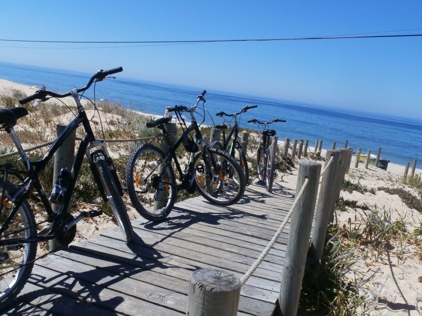 Faro Bike Tour through the Beautiful Ria Formosa - Terrain reality check: sandy, rocky, and windy moments