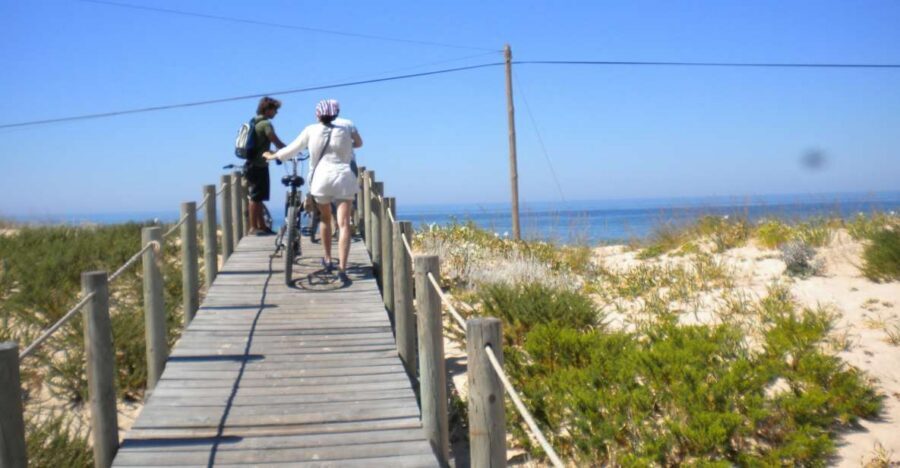 Faro Bike Tour through the Beautiful Ria Formosa - Guides you can actually learn from, plus a language note