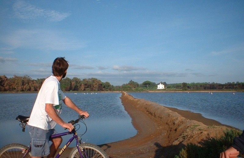 Faro Bike Tour through the Beautiful Ria Formosa - Meeting at Pure Nature Store inside Faro’s Naval Club building