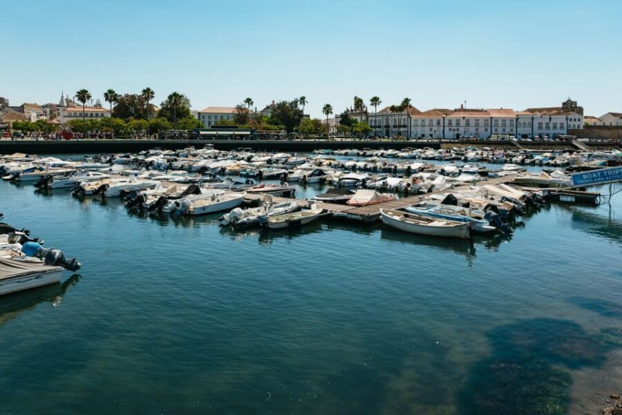Faro: Deserta Island and Farol Island Catamaran Boat Trip - Ilha do Farol: The Lighthouse Island Stop That Feels Like a Mini Adventure