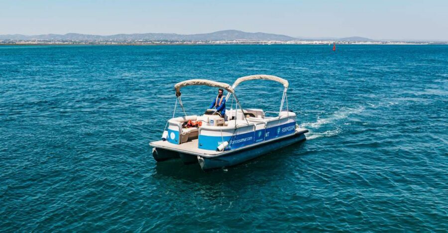 Faro: Deserta Island and Farol Island Catamaran Boat Trip - The Boat Experience: Comfortable Catamaran, Real Safety, Good Timing