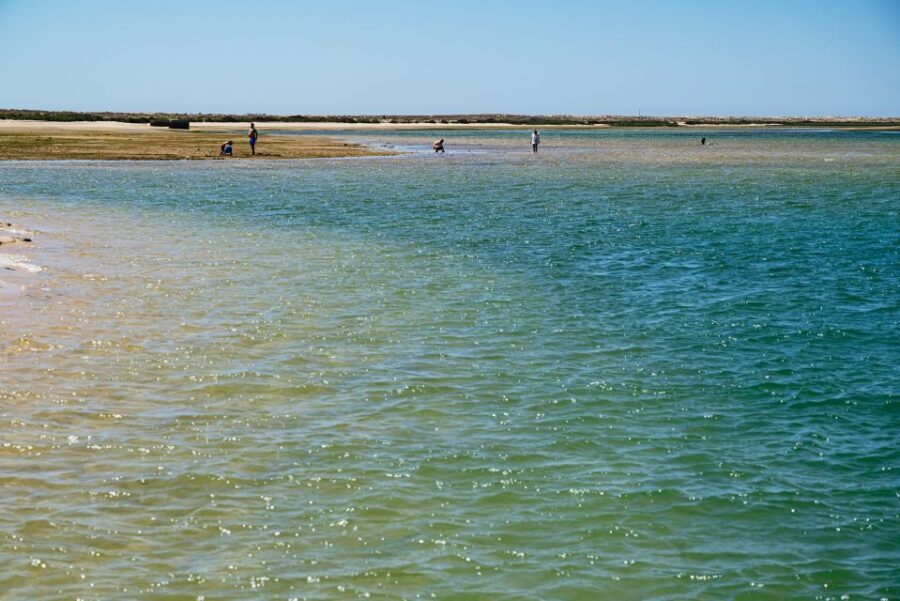 Faro: Deserta Island and Farol Island Catamaran Boat Trip - Who This Trip Suits Best (And Who Should Think Twice)