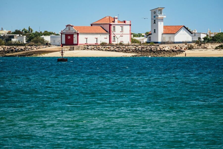 Faro: Deserta Island and Farol Island Catamaran Boat Trip - Guided Wildlife Viewing on the Water: What Makes It Worth It