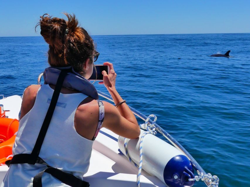 Faro: Dolphin and Wildlife Watching in the Atlantic Ocean - Should You Book This Faro Dolphin and Wildlife Watching Tour?