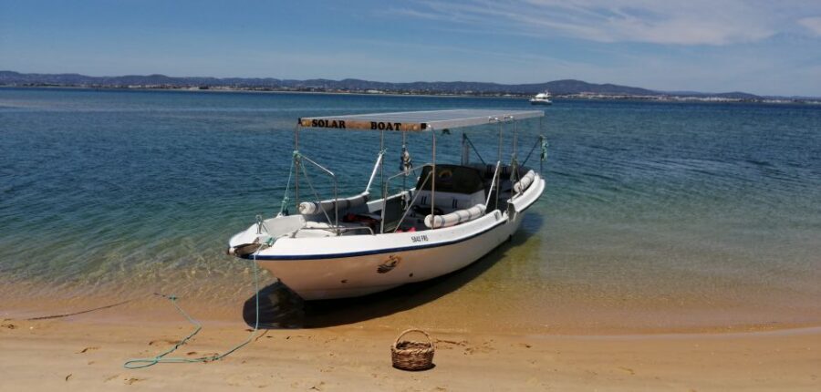 Faro: Eco-Friendly Ria Formosa Bird Watching in Solar Boat - Learning With Real Bird ID: Binoculars, Guides, and Multi-Language Spotting