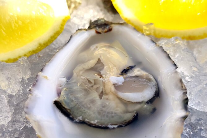 Faro Food Tour & Drinks and City highlights 10 Tastings - Marina de Faro finish: the last sip near the water