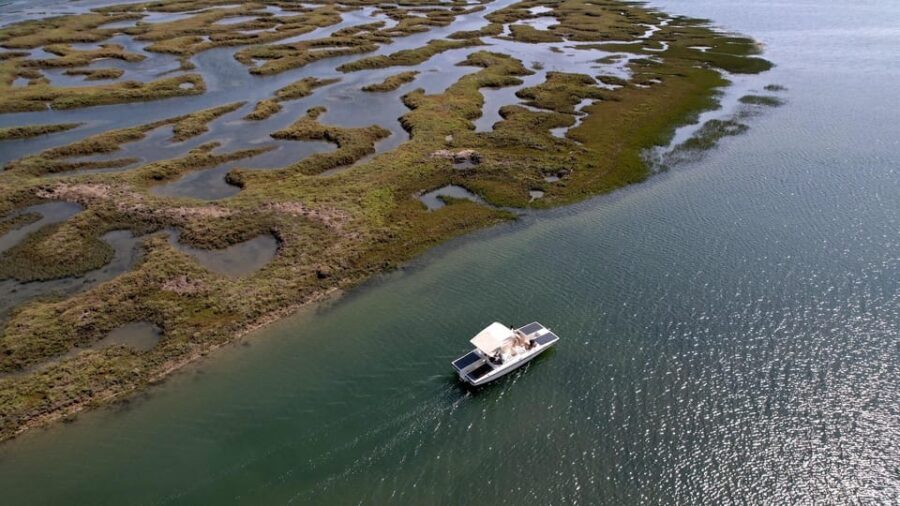 Faro: Ria Formosa Boat Tour by Eco-Friendly Solar Boat - Solar-Powered Quiet in Faro’s Ria Formosa