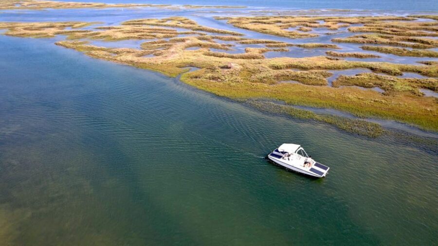 Faro: Ria Formosa Boat Tour by Eco-Friendly Solar Boat - Who Should Book This Solar Boat Tour?