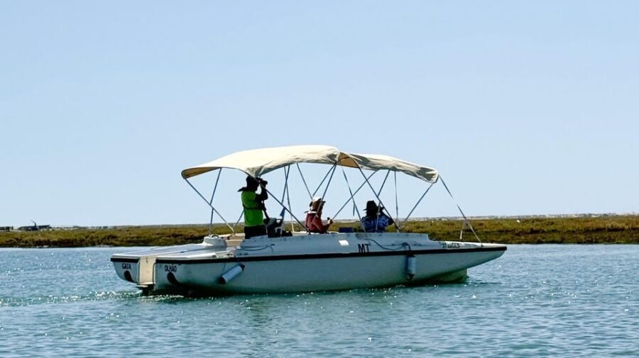 Faro: Ria Formosa Boat Tour by Eco-Friendly Solar Boat - Where You Meet at Cais das Portas do Mar (And What to Expect)