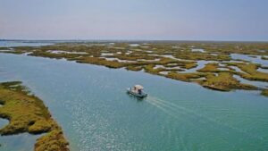Faro: Ria Formosa Boat Tour by Eco-Friendly Solar Boat - Cruising the Parque Natural da Ria Formosa: What You’ll See