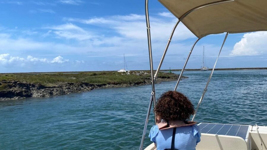 Faro: Ria Formosa Boat Tour by Eco-Friendly Solar Boat - Wildlife Spotting With Bird Guides and Tide Talk