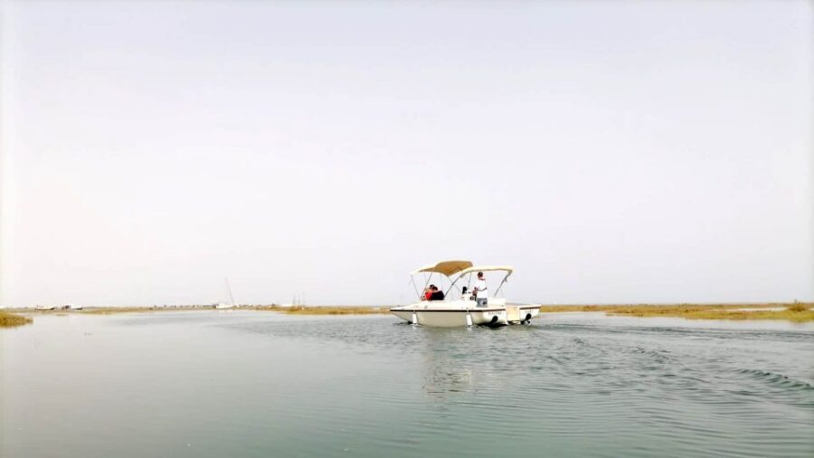 Faro: Ria Formosa Boat Tour by Eco-Friendly Solar Boat - Why the Boat’s Silence Feels Like Part of the Tour