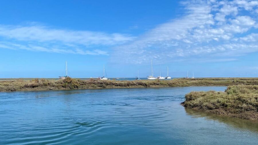 Faro: Ria Formosa Boat Tour by Eco-Friendly Solar Boat - What’s Included (And What You’ll Need to Plan Yourself)