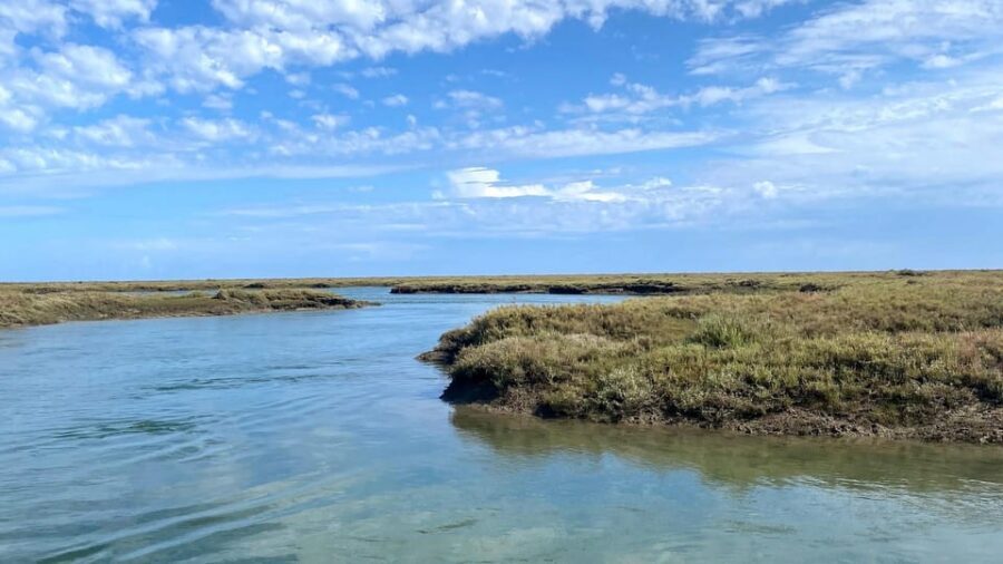Faro: Ria Formosa Boat Tour by Eco-Friendly Solar Boat - Price and Value: Is $29 Fair for a One-Hour Lagoon Trip?