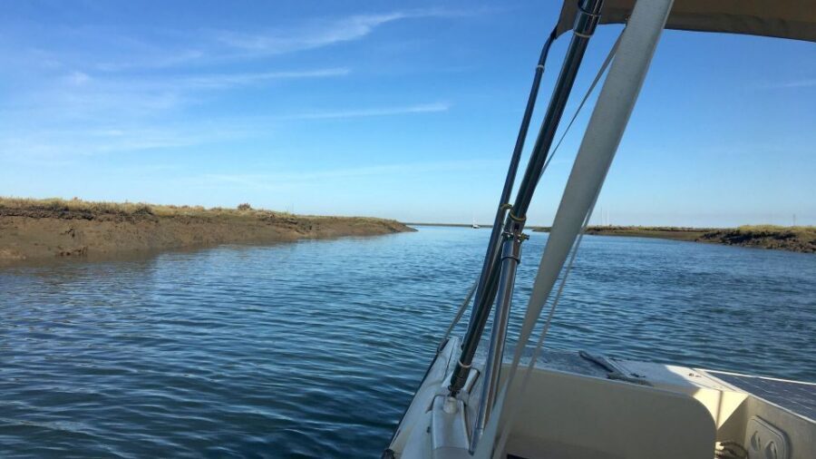 Faro: Ria Formosa Boat Tour by Eco-Friendly Solar Boat - When to Go for Birds (And When Weather Helps or Hurts)