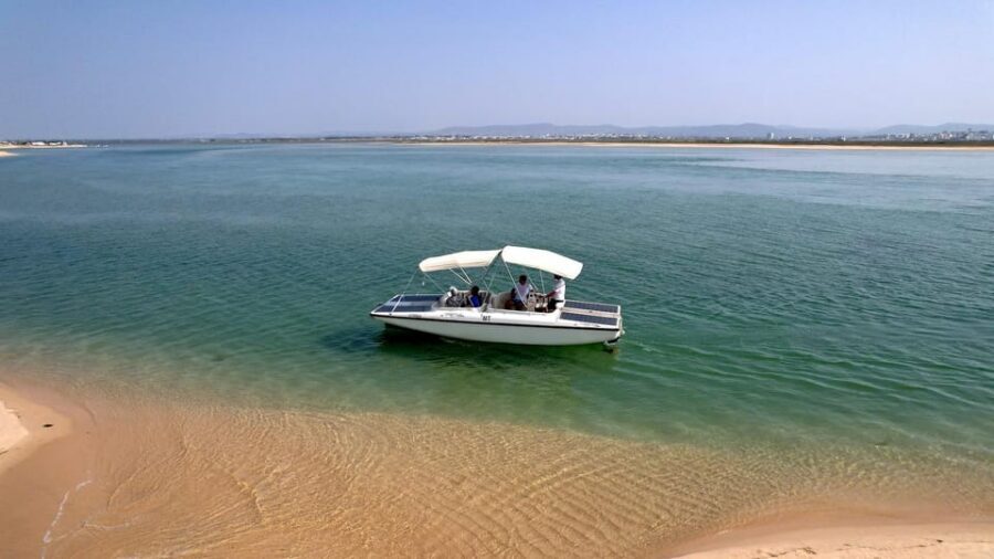 Faro: Ria Formosa Eco Birdwatching Boat Tour - Quick Take: Why This Faro Bird Tour Works