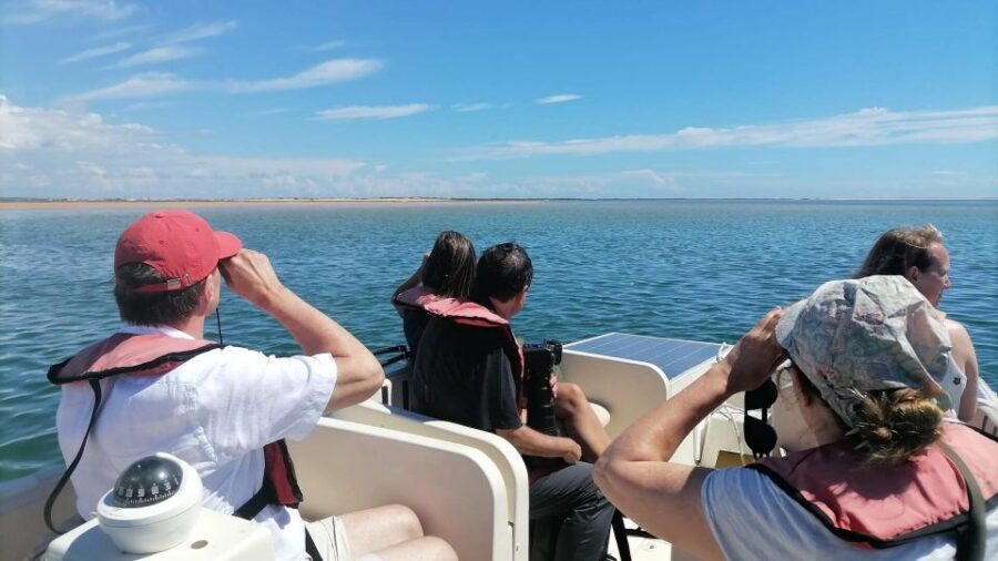 Faro: Ria Formosa Eco Birdwatching Boat Tour - Entering Ria Formosa From Faro: The Big Idea in 2 Hours