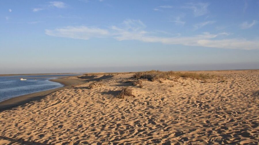 Faro: Ria Formosa Eco Birdwatching Boat Tour - On the Solar-Powered Boat: What the Ride Feels Like