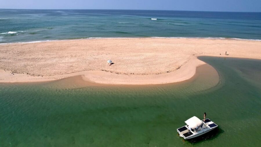 Faro: Ria Formosa Eco Birdwatching Boat Tour - Price and Value: Is $47 a Good Deal for Birdwatching in Faro?