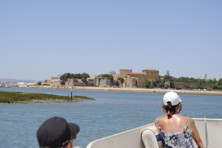 Faro: Ria Formosa Lagoon Small Boat Tour with Local Guide - Pontoon Boat Comfort: What This Cruise Feels Like