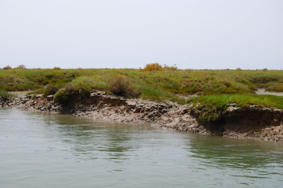 Faro: Ria Formosa Lagoon Small Boat Tour with Local Guide - Price and Value: Is $29 for a Faro Lagoon Tour a Good Deal?