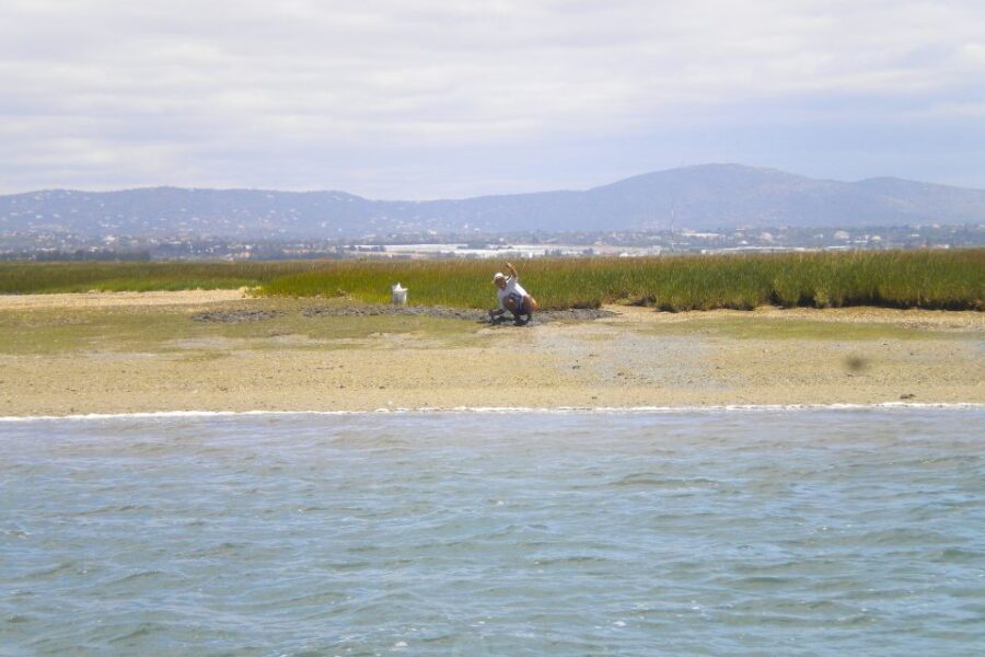 Faro: Ria Formosa Lagoon Small Boat Tour with Local Guide - What to Bring (So You Don’t Get Cold, Sunburned, or Miserable)