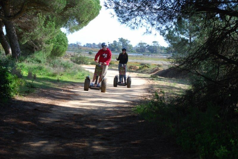 Faro: Ria Formosa Natural Park Segway Tour & Birdwatching - Key Highlights You’ll Feel on Day One