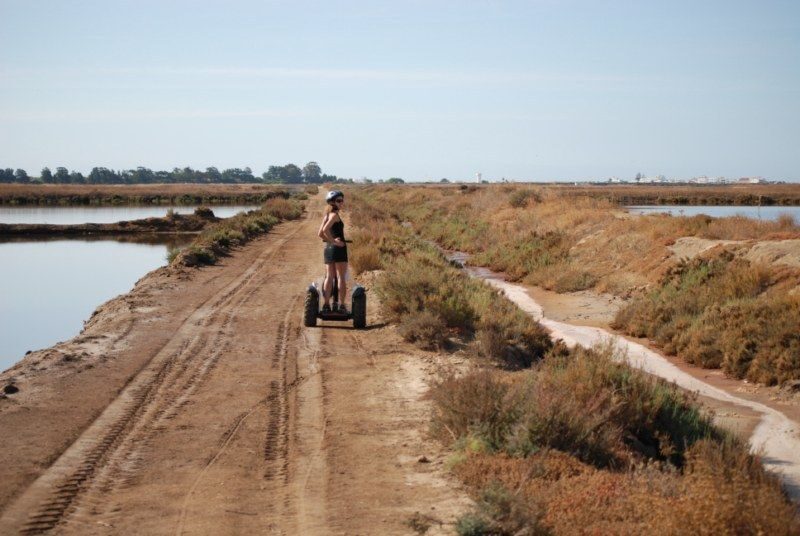 Faro: Ria Formosa Natural Park Segway Tour & Birdwatching - Who This Tour Fits Best