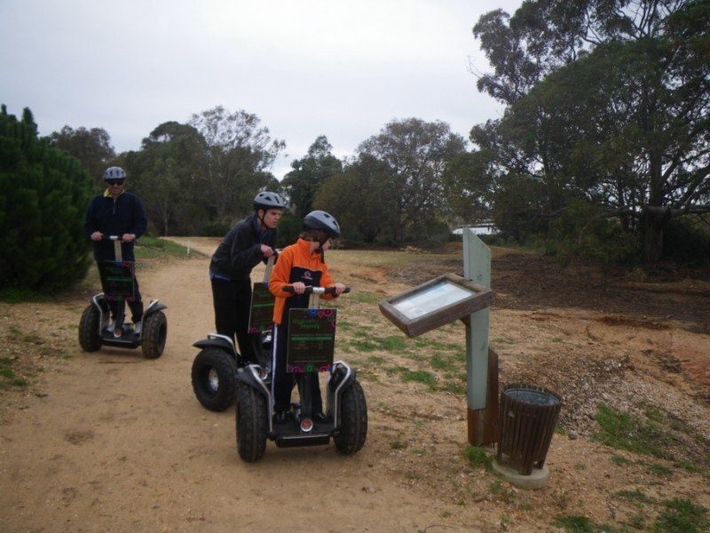 Faro: Ria Formosa Natural Park Segway Tour & Birdwatching - Price and Value: Is $66 a Fair Deal?