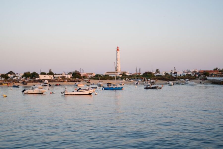 Faro: Ria Formosa Sunset Nature Boat Tour - Key things you’ll get from this Faro sunset boat tour