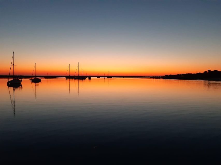 Faro: Ria Formosa Sunset Nature Boat Tour - Why Ria Formosa sunsets feel different from typical Algarve sightseeing