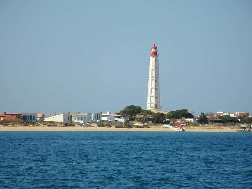 Faro: Ria Formosa - The Grand 3 Islands Boat Tour - The Old Inlet stop between Culatra and Armona: where the magic is practical