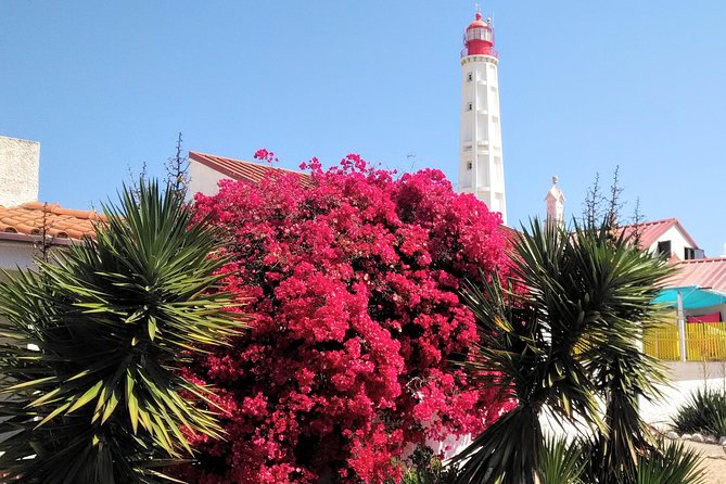 Faro - Ria Formosa tour with visit to 2 islands (Deserta, Farol) 3.5 hours - What to bring and how to time your day in Faro