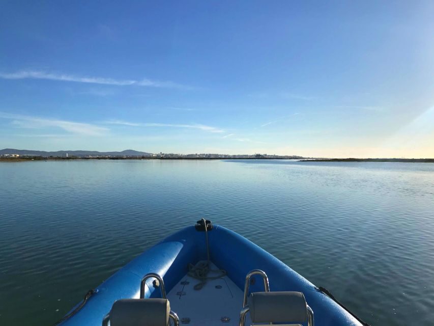 Faro: Speed Boat Tour - Ria Formosa Natural Park by boat: the real payoff