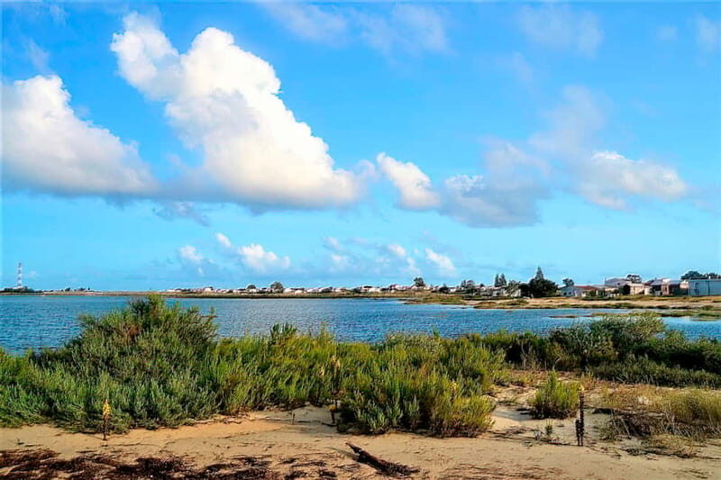 Faro: Sunset 1 hour Ria Formosa Boat Tour - Price and value check for a $37-per-person sunset hour