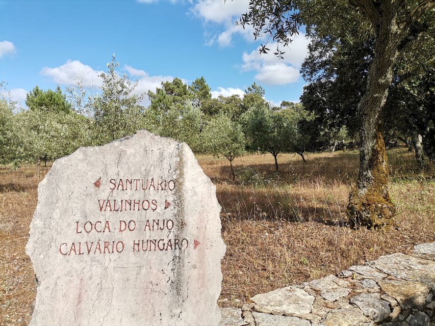 Fatima Full-Day Private Personalized Pilgrimage from Lisbon - Why this private Fatima day trip feels more personal than a big tour