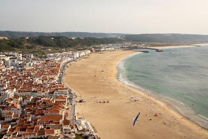 Fatima Sanctuary, Pena Palace & Nazare's Big Wave from Lisbon - Price and logistics: is $422 worth it?
