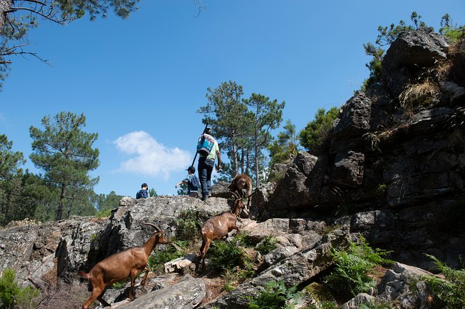 Fisgas de Ermelo Trail - Price and value: why about $60 feels fair here