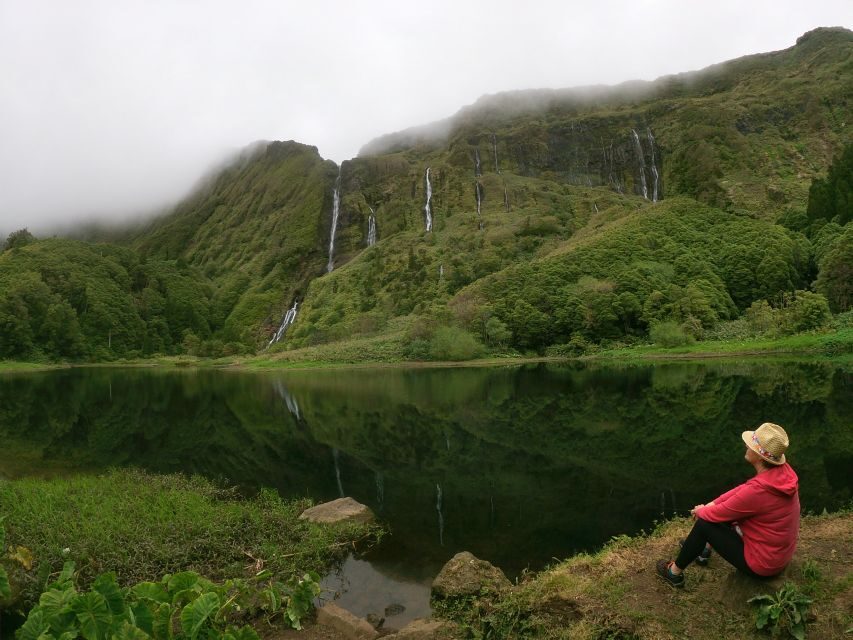 Flores Island: Full-Day Guided Tour with Lunch - Pickup, Transport, and What a Small Group Really Buys You