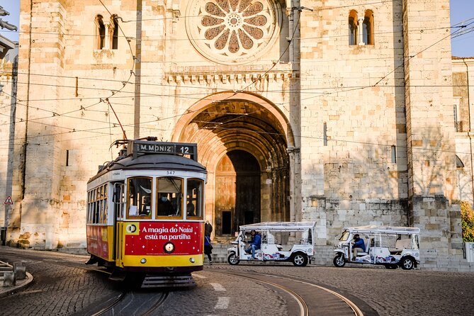 Food & Wine Lisbon Tour with Local Guide in Private Eco Tuk Tuk - Meeting at Lisbon Cruise Port and staying out of trouble