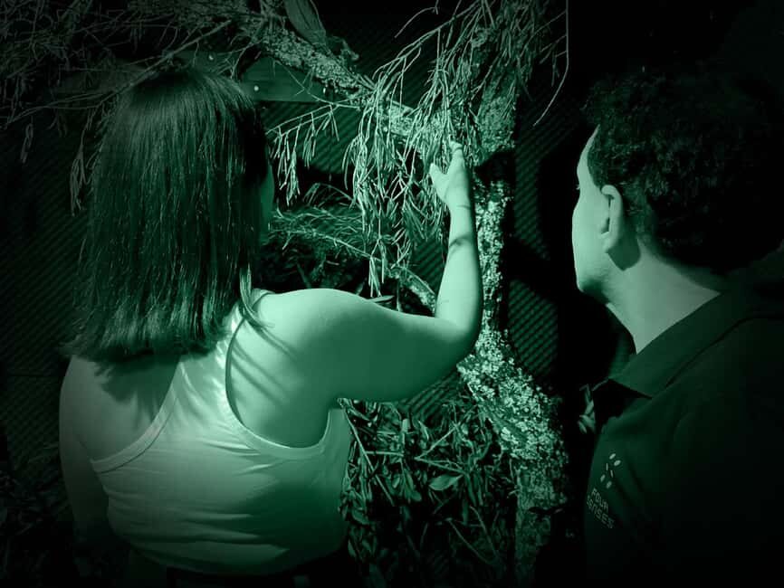 FOUR SENSES: The Immersive Experience in the Dark – Faro - Key things to know before you go