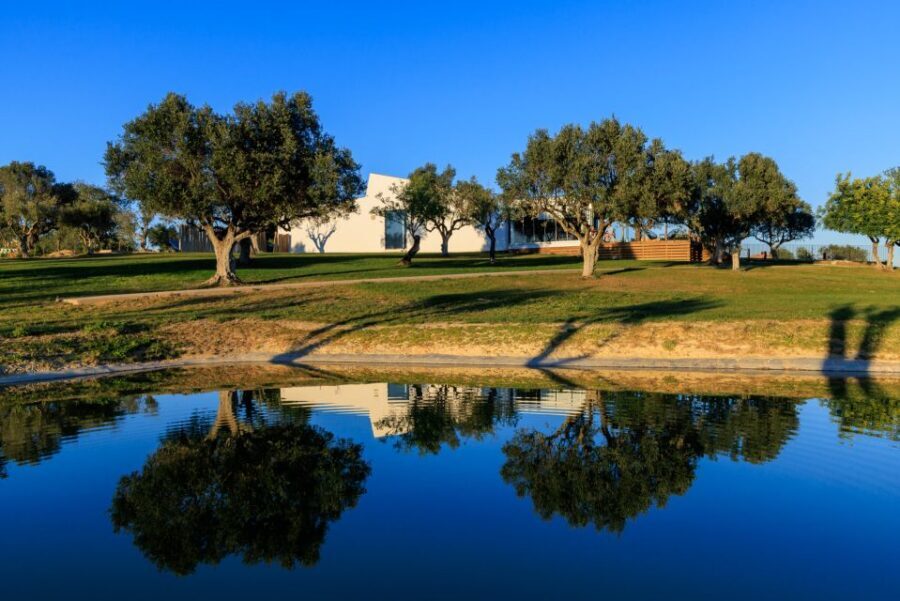 From Albufeira: 4x4 Off-Road Safari & Vineyard Wine Tasting - Timing, Comfort, and What to Pack for Rain-or-Shine