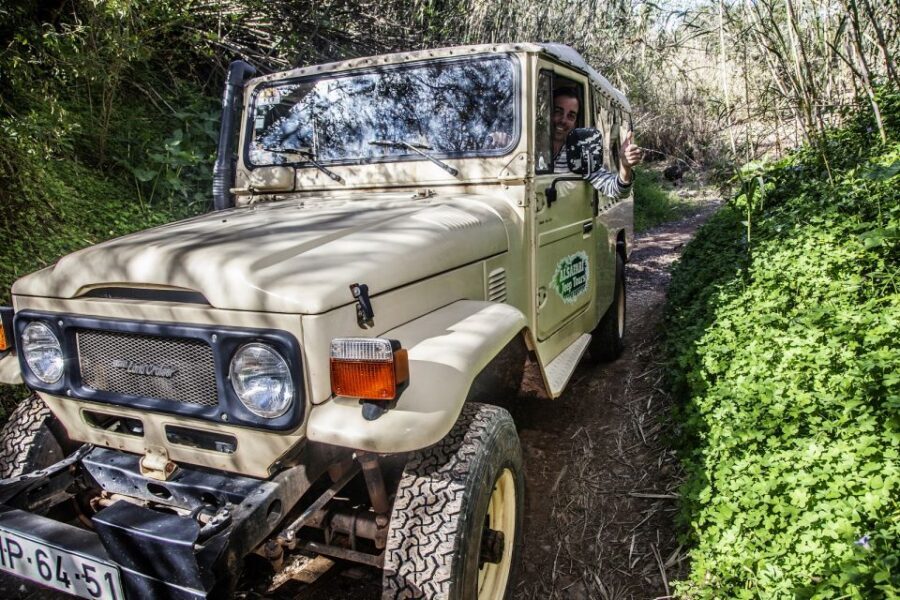 From Albufeira: Algarve Sunset Jeep Tour with Tastings - Four hours in the Algarve: how the sunset jeep tour feels