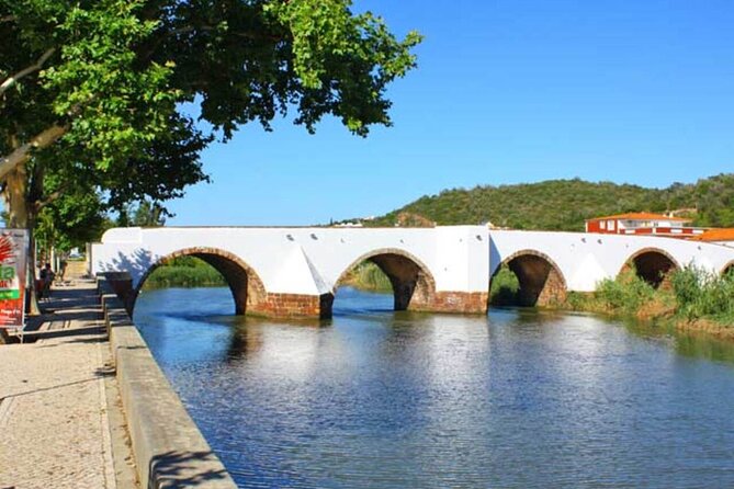 From Albufeira: Benagil Tour, Bones & Medieval Silves Castle - Benagil: famous cave views from above