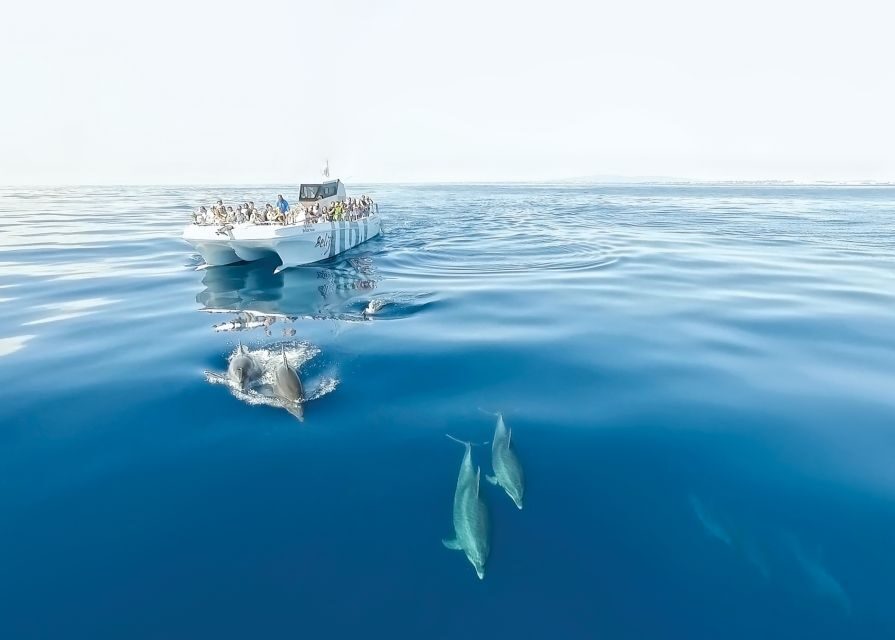 From Albufeira: Dolphins and Caves 2.5-Hour Boat Trip - Key things I’d circle before you book