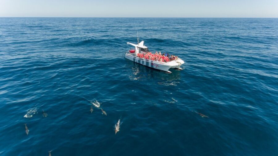 From Albufeira: Dolphins and Caves 2.5-Hour Boat Trip - Getting on the Belize Terceiro: smooth start, real sea time