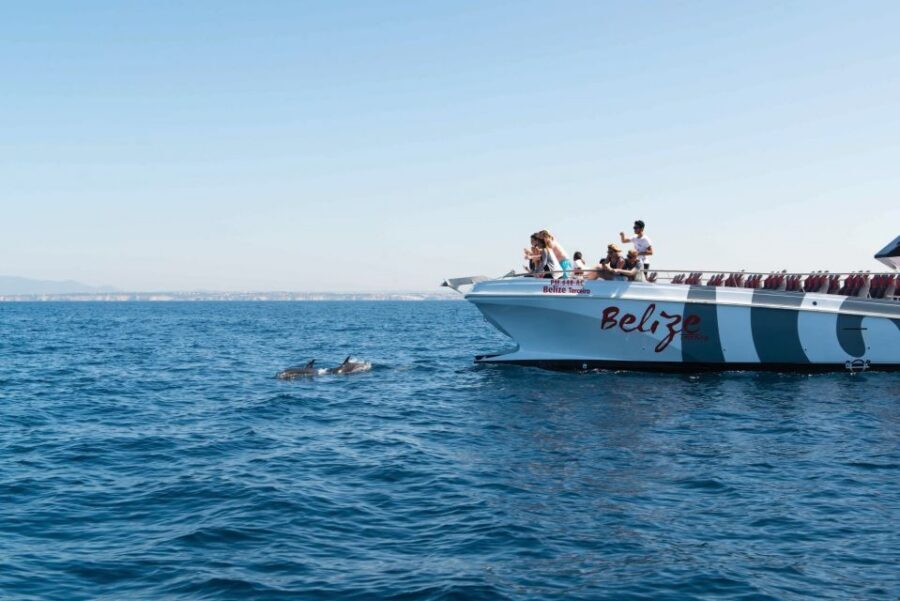 From Albufeira: Dolphins and Caves 2.5-Hour Boat Trip - Who this is best for, and who should skip it