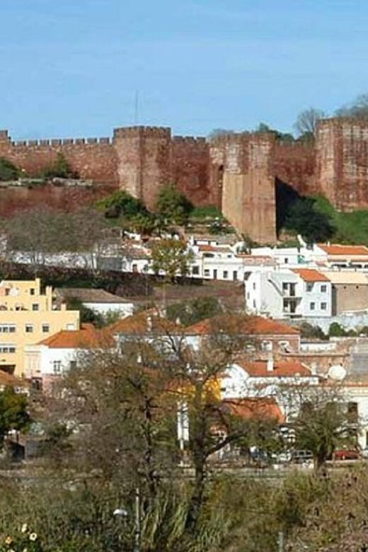 From Albufeira: Half-Day Silves & Monchique Highlights Tour - What kind of traveler should book this?